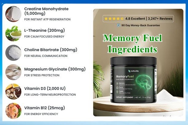 Memory Fuel Ingredients